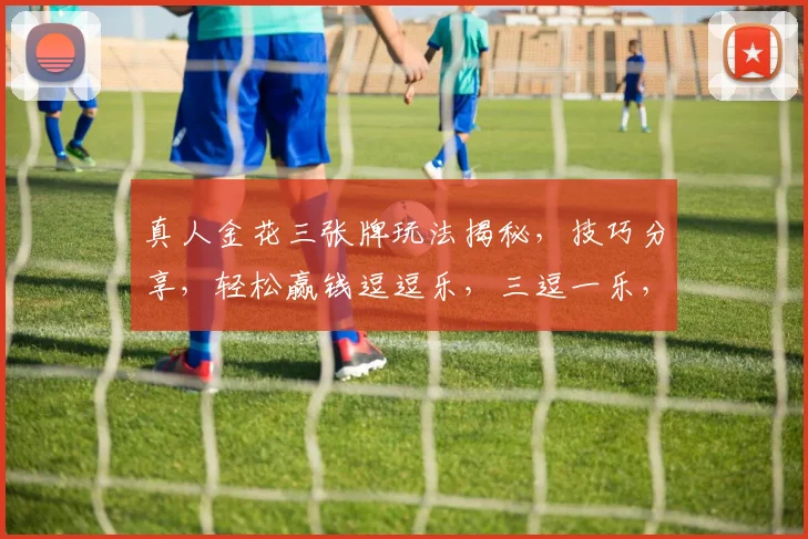真人金花三张牌玩法揭秘，技巧分享，轻松赢钱逗逗乐，三逗一乐，金花在手，笑傲江湖