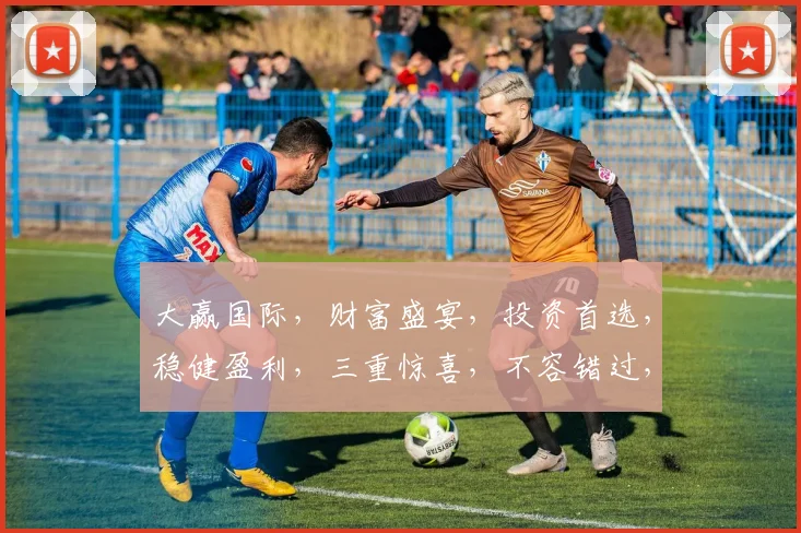 大赢国际，财富盛宴，投资首选，稳健盈利，三重惊喜，不容错过，敬请关注