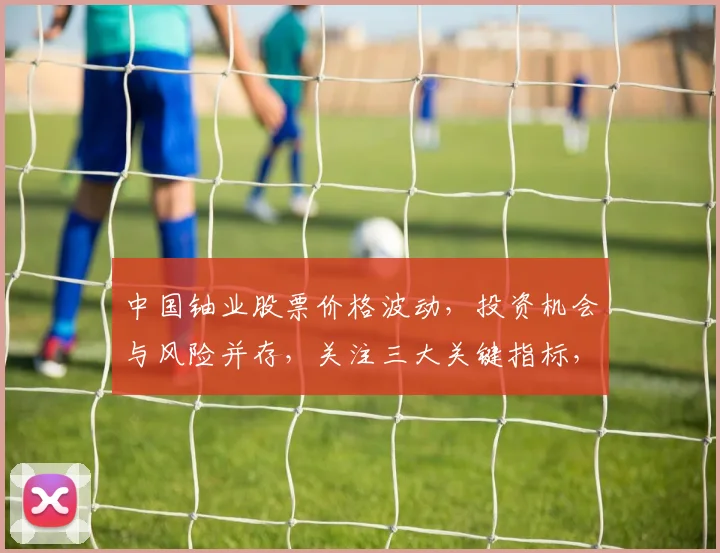 中国铀业股票价格波动，投资机会与风险并存，关注三大关键指标，把握投资时机，实现财富增值。