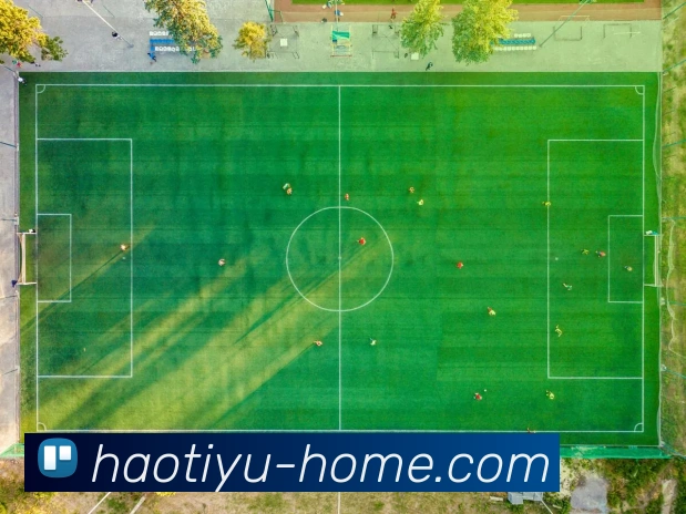 好体育线路入口平台生态图